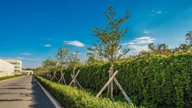 emc易倍·(中国)体育官方网站-EMC SPORTS